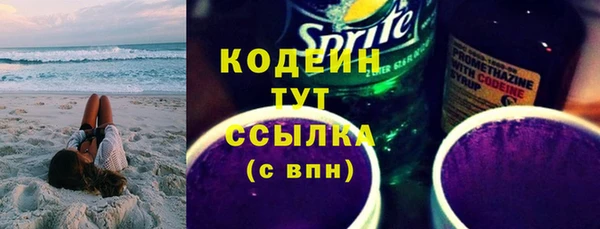 дживик Инта