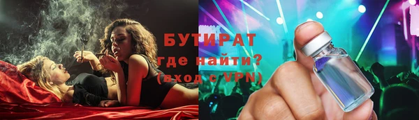 дживик Инта