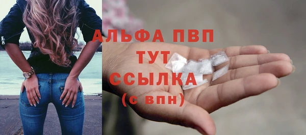 дживик Инта