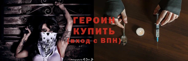 дживик Инта