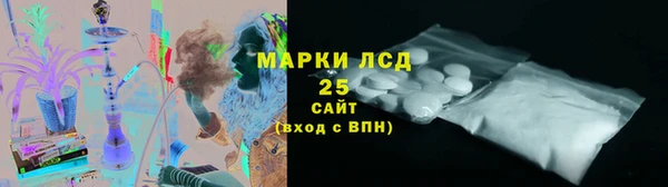 дживик Инта