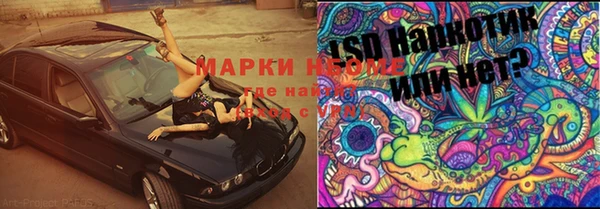 стафф Иннополис