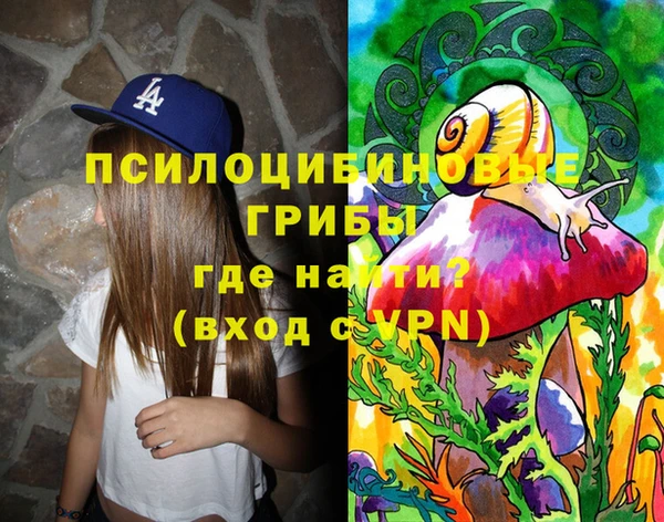стафф Иннополис