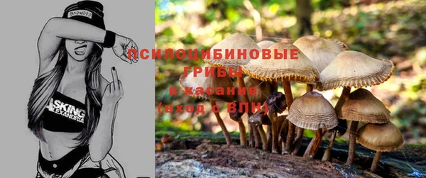 стафф Иннополис