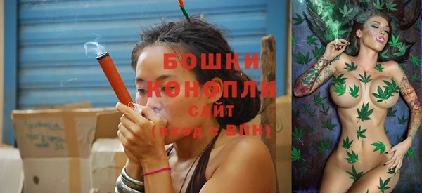 дживик Инта